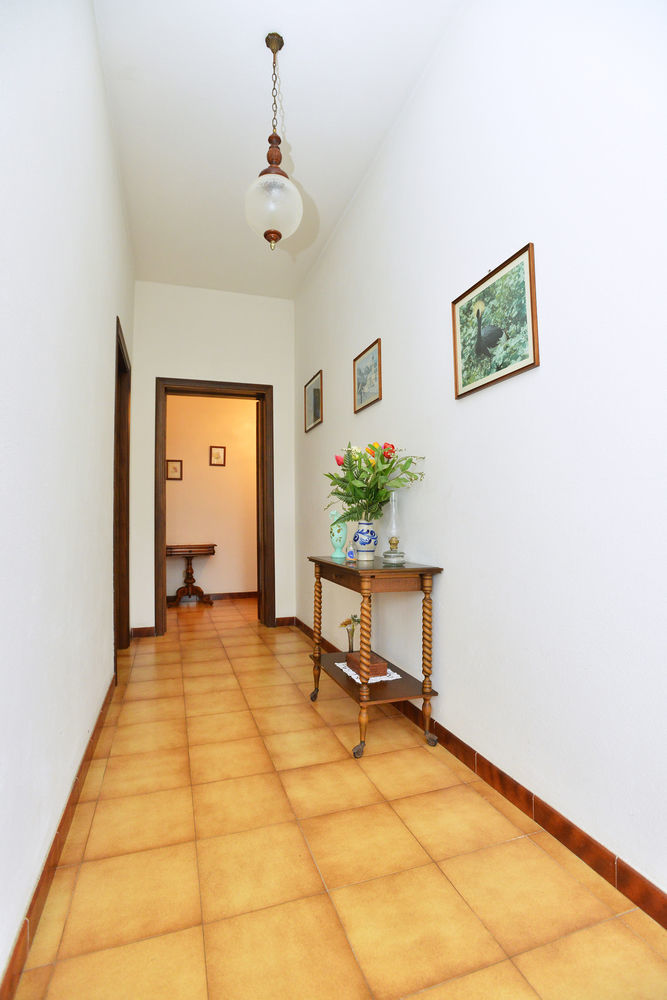 Izzhome Cozy Sunflowers 풀라 외부 사진